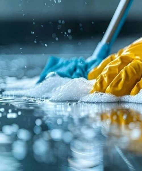 Adote práticas sustentáveis: dicas para uma limpeza ecológica no lar