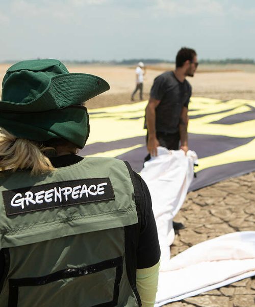 Greenpeace Brasil lança seu pioneiro Relatório de Transparência e Equidade Salarial de 2026