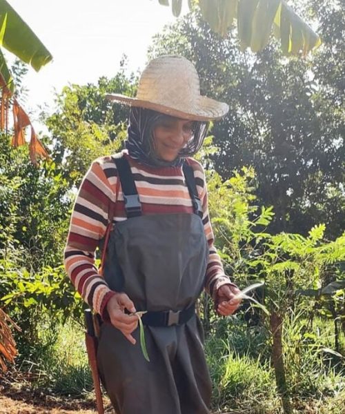 Mulheres paraenses constroem um futuro sustentável através das agroflorestas