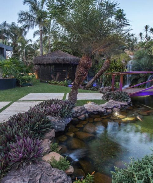 Especialistas em paisagismo ensinam a montar um jardim sensorial em etapas