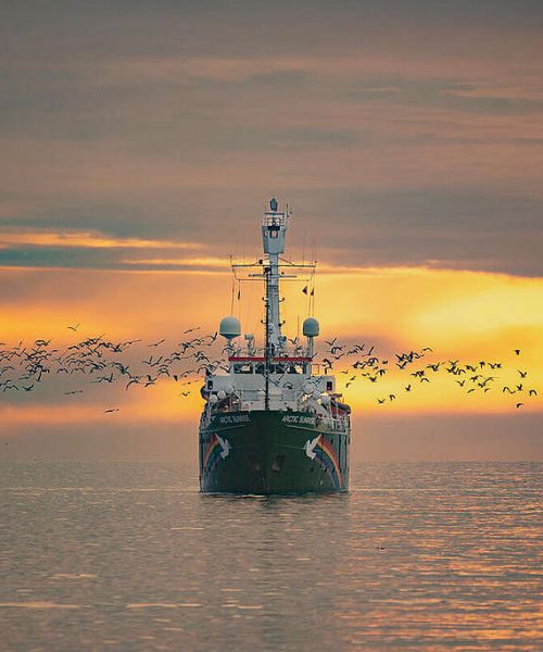 Greenpeace une forças com a Flotilha Global Sumud rumo a Gaza