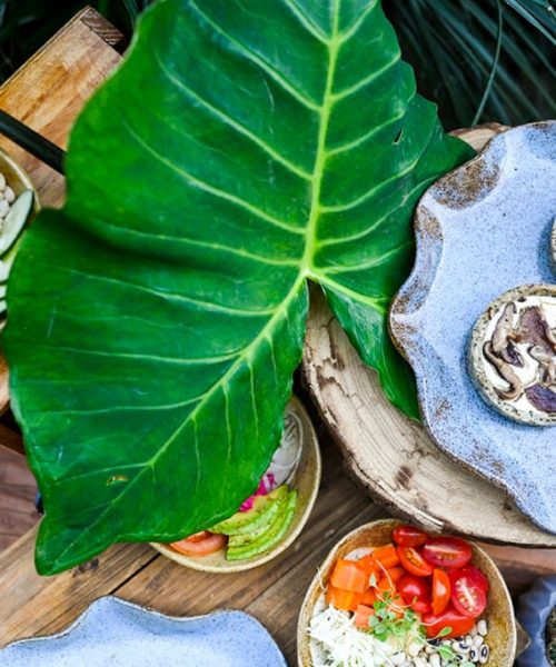 Delícias veganas se tornam brindes para os visitantes do Novotel