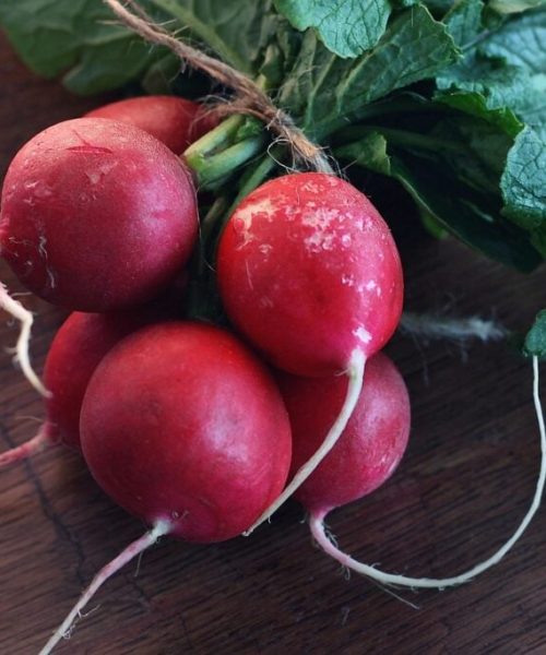 Guia Prático para Cultivar Rabanetes no Conforto do Seu Lar