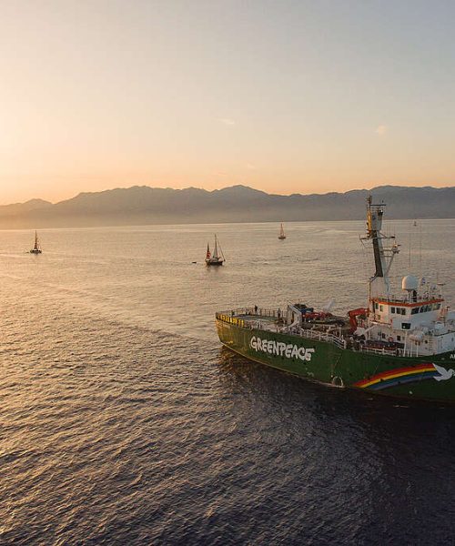 Greenpeace e a Flotilha Global Sumud: união pela paz e solidariedade