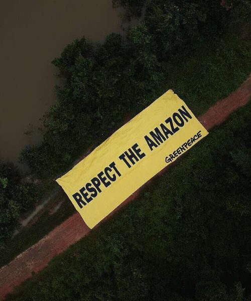 Dia do Agro” na Câmara representa um retrocesso para o meio ambiente, afirma Greenpeace Brasil