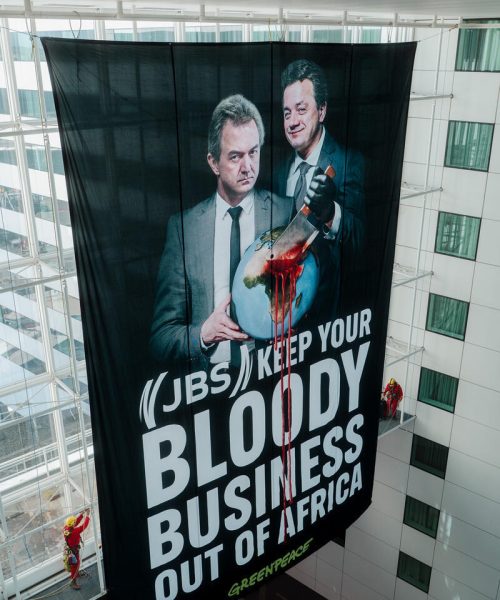 Greenpeace na Holanda processa JBS e interrompe assembleia de acionistas da gigante da carne