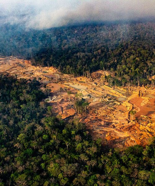 Dia do Agro, uma Iniciativa da Bancada Ruralista, Coloca em Risco a Supervisão Ambiental