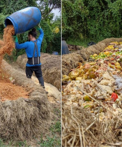 Maio será o mês da Compostagem no Brasil em 2026