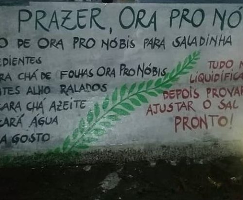 Guia Prático para o Cultivo de Ora-pro-nóbis