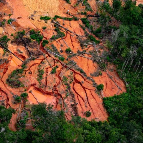 Greenpeace revela operações de lavagem de ouro na Amazônia