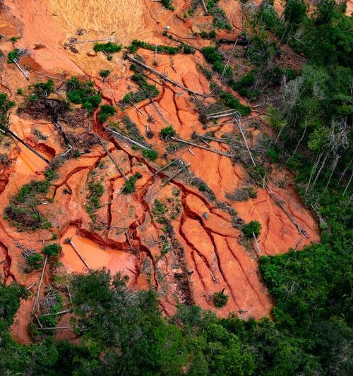 Greenpeace revela operações de lavagem de ouro na Amazônia