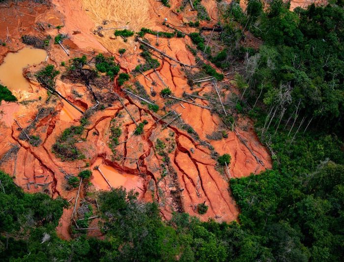Greenpeace revela operações de lavagem de ouro na Amazônia