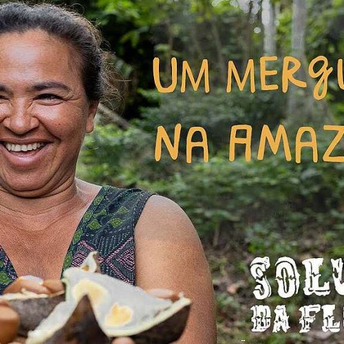 Guardians of the Amazon: Greenpeace revela os responsáveis pela preservação da floresta