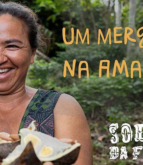 Guardians of the Amazon: Greenpeace revela os responsáveis pela preservação da floresta