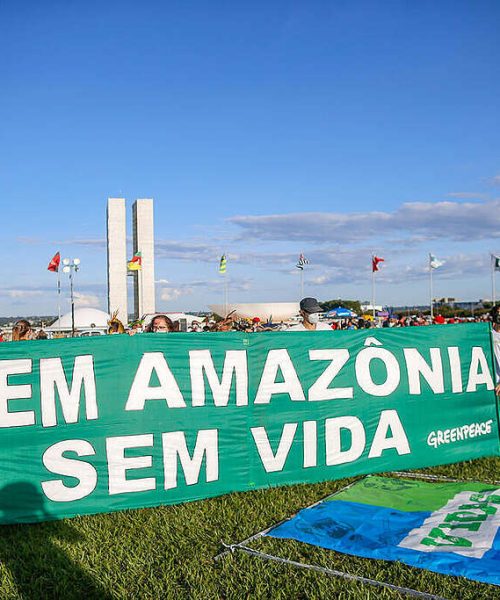 Greenpeace Brasil sinaliza risco de projetos de lei que comprometem a supervisão ambiental na Câmara dos Deputados nesta terça-feira (19)