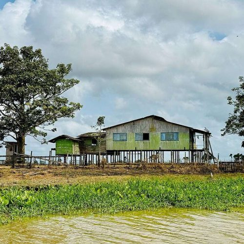 Conflito de Narrativas: Petróleo na Amazônia e os Desafios do Desenvolvimento Sustentável