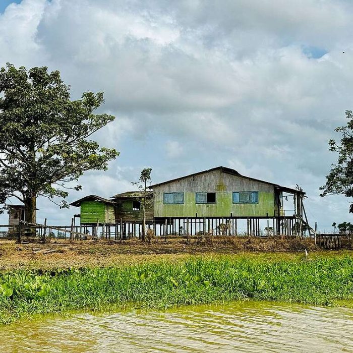 Conflito de Narrativas: Petróleo na Amazônia e os Desafios do Desenvolvimento Sustentável