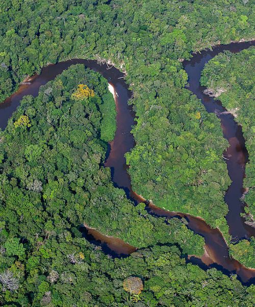 Desmatamento na Amazônia registra queda de 61% em maio, mas fenômeno El Niño gera preocupação