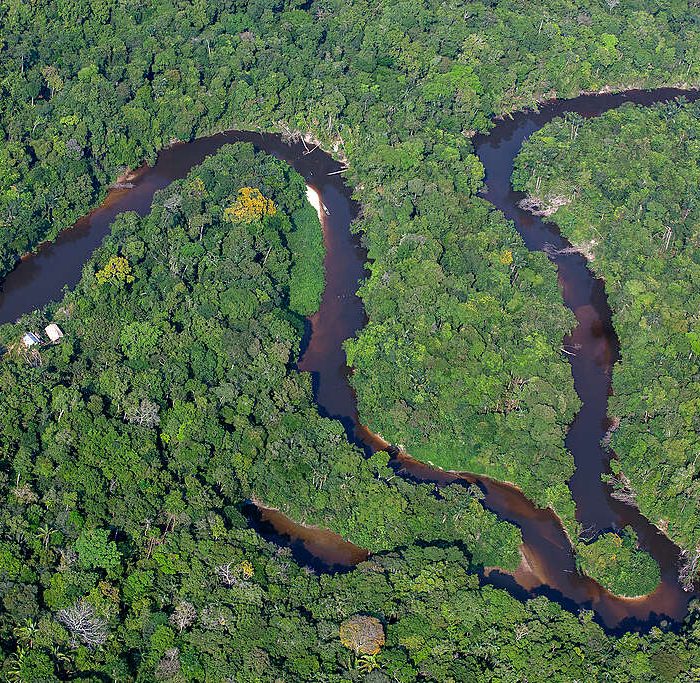 Desmatamento na Amazônia registra queda de 61% em maio, mas fenômeno El Niño gera preocupação