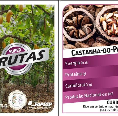 Jogo de cartas inspirado no Super Trunfo apresenta as maravilhas das frutas da Amazônia