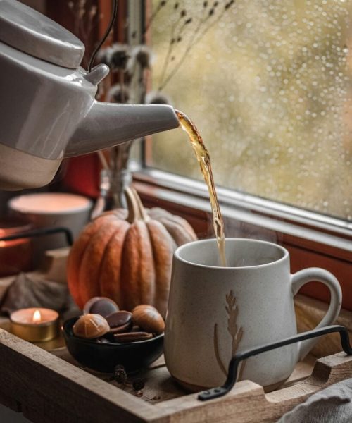Dicas para transformar sua casa em um refúgio acolhedor durante o inverno