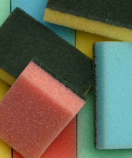 Esponjas em fim de vida podem ser reaproveitadas com novas utilidades