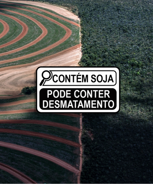 Soja: Surpresas na Composição e o Impacto do Desmatamento