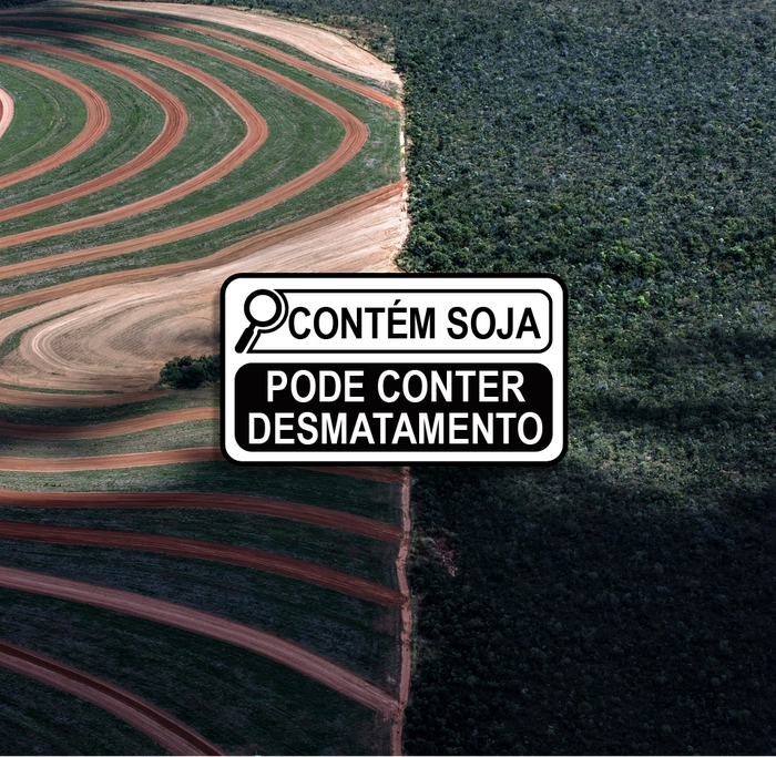 Soja: Surpresas na Composição e o Impacto do Desmatamento