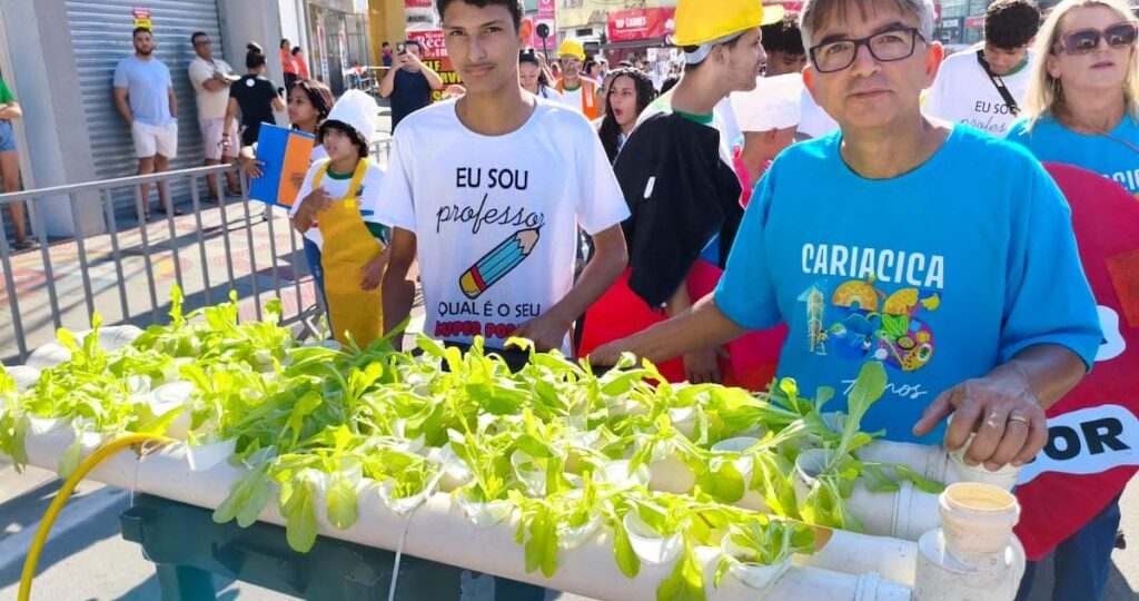Horta hidropônica transforma práticas de química em aprendizado ao ar livre