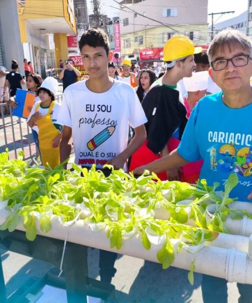 Horta hidropônica transforma práticas de química em aprendizado ao ar livre