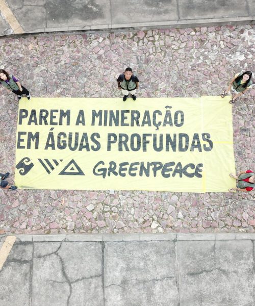 Greenpeace Brasil divulga documento técnico em prol da proteção dos oceanos na conferência do ISA