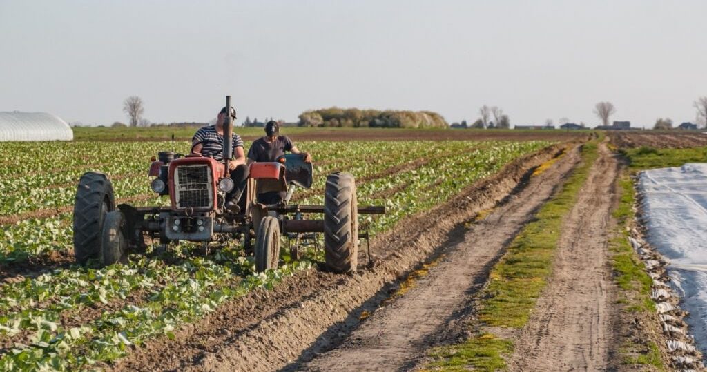 Inglaterra apresenta estratégia para impulsionar o setor agrícola até 2050