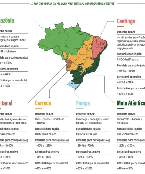 Manual oferece diretrizes para transição da pecuária a sistemas agroflorestais
