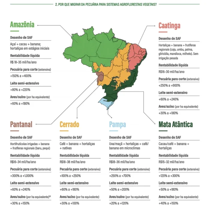 Manual oferece diretrizes para transição da pecuária a sistemas agroflorestais