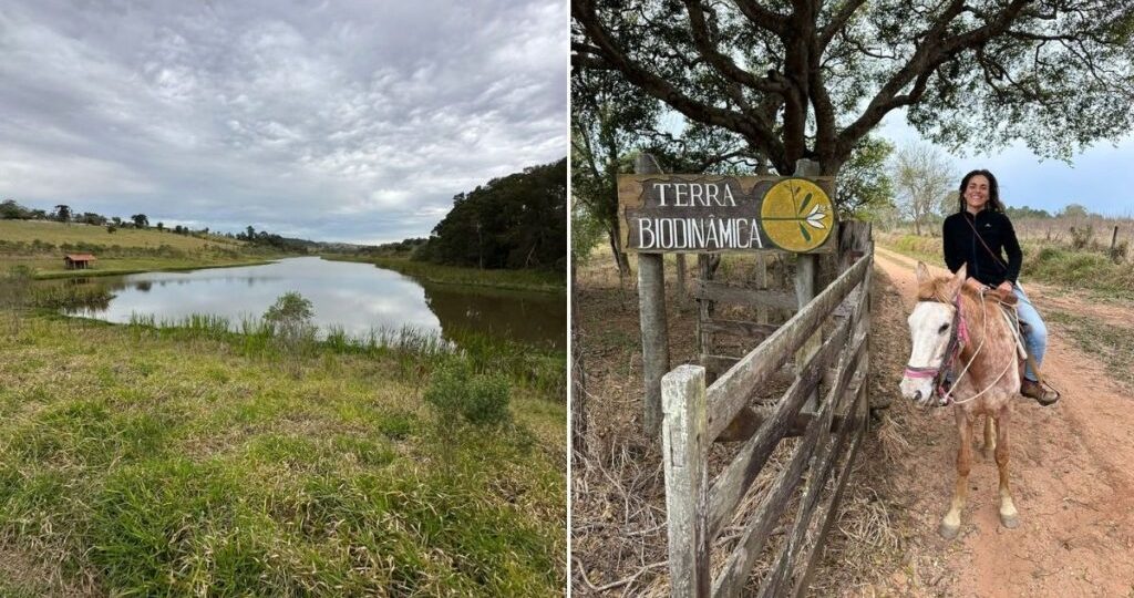 Vila Terra Biodinâmica: sinergia entre permacultura e comunidade sustentável