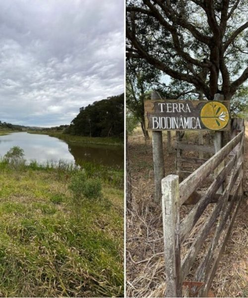 Vila Terra Biodinâmica: sinergia entre permacultura e comunidade sustentável
