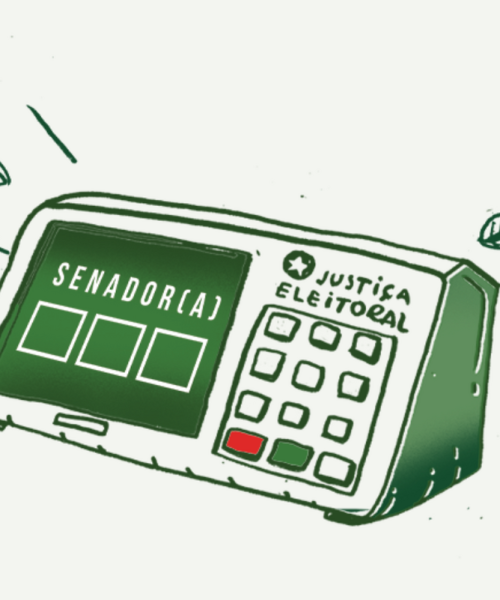 Eleições 2026: a importância do seu voto para o Senado