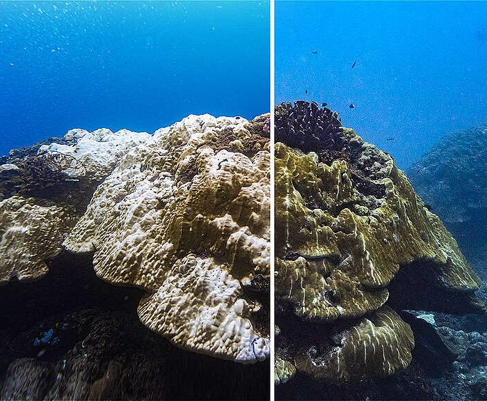 Superfície do oceano bate 100 dias de temperaturas recordes e acende novo alerta para crise climática