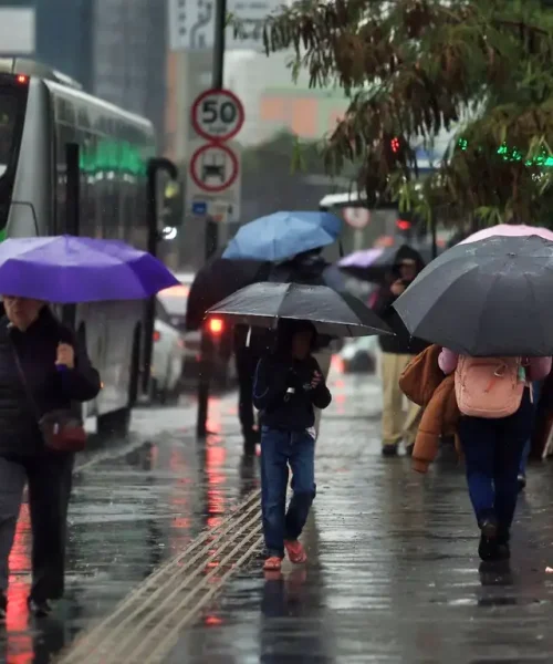 Chuvas no Sul e Sudeste: como o seu voto ajuda a prevenir novas enchentes