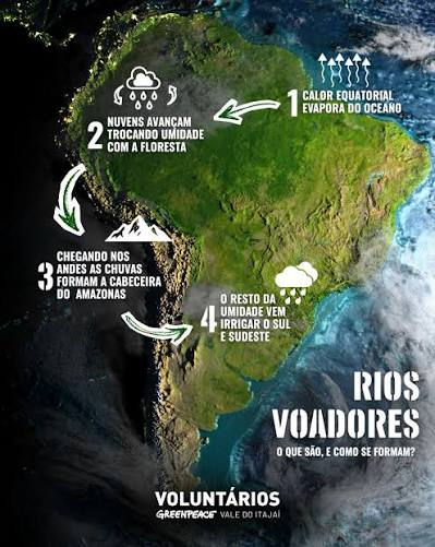 Conta de luz, alimentos e desmatamento: o que você precisa saber antes de votar