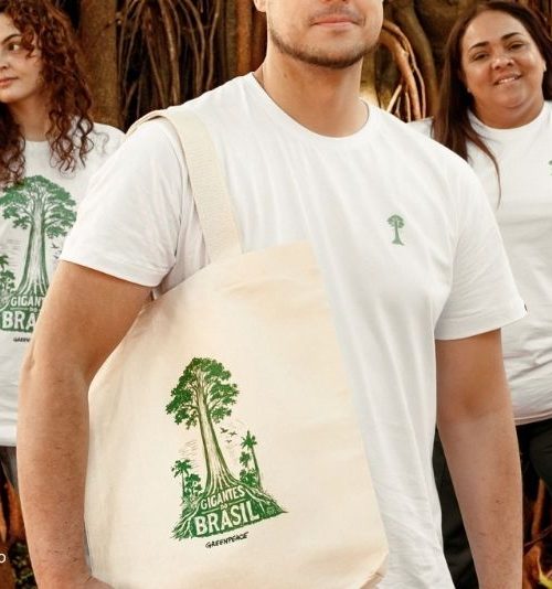 Gigantes da Floresta: Descubra os Protetores da Amazônia na Semana da Árvore