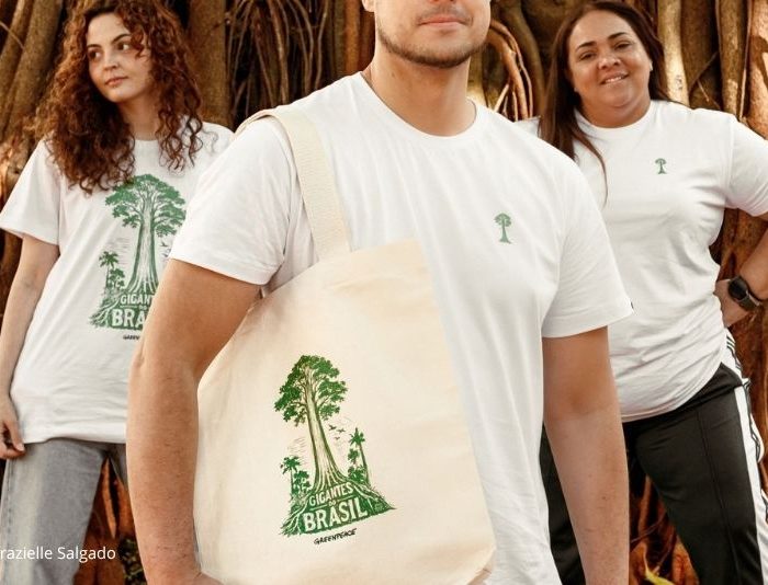 Gigantes da Floresta: Descubra os Protetores da Amazônia na Semana da Árvore