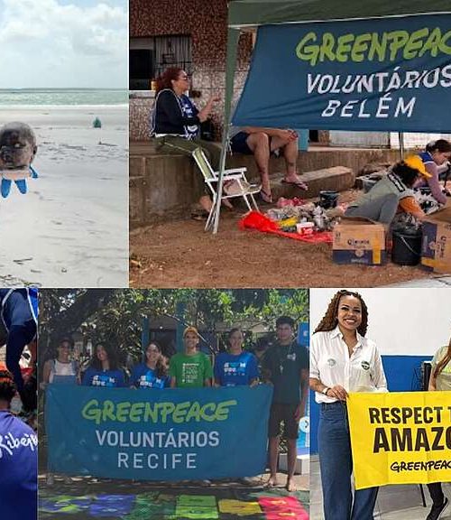 Setembro em Foco: As Atividades dos Voluntários do Greenpeace Brasil
