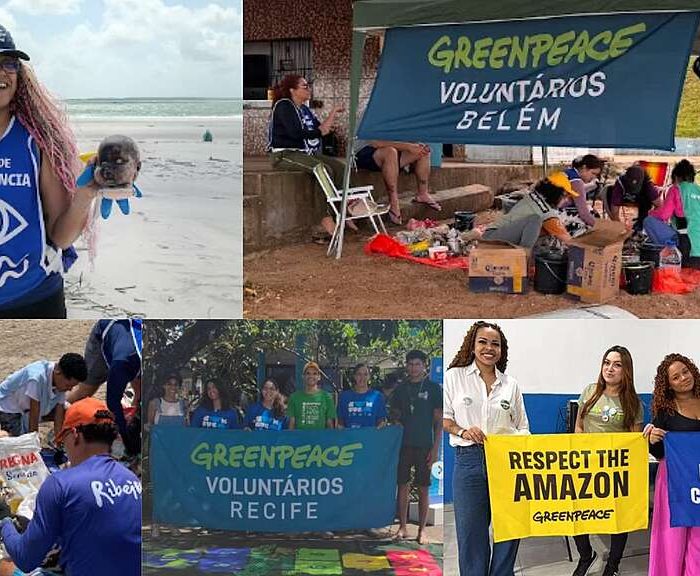 Setembro em Foco: As Atividades dos Voluntários do Greenpeace Brasil