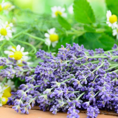 Seis abordagens naturais para aliviar a ansiedade