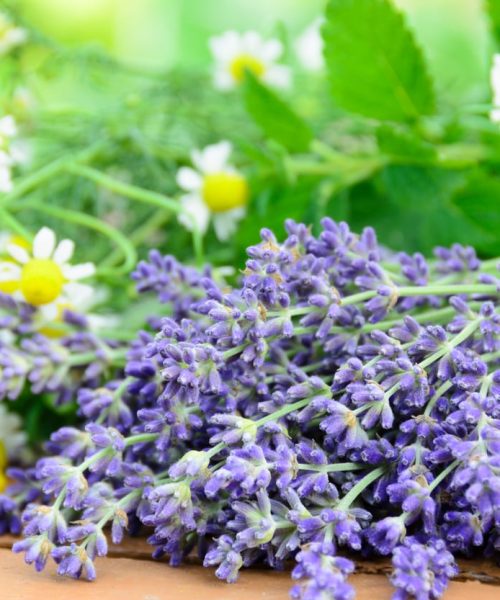 Seis abordagens naturais para aliviar a ansiedade