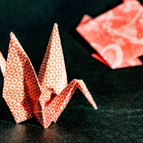 Oito passatempos acessíveis que podem reinventar sua rotina diária