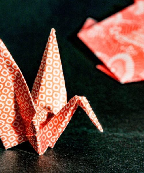 Oito passatempos acessíveis que podem reinventar sua rotina diária